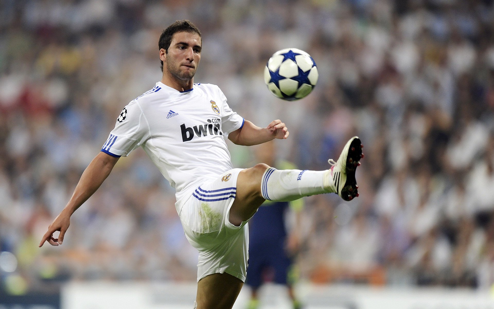 库里营收116.8亿背后的商业密码，远超预期的成功启示|乐鱼体育官方网站